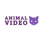 AnimalVideo101