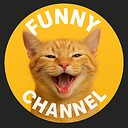 funnyfunnytime
