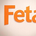 commentsonfeta