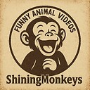 ShiningMonkeys