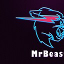 Mrbeasturdu789