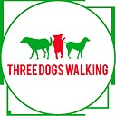 threedogswalking