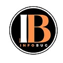 TheInfoBug