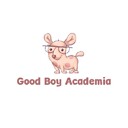 GoodBoyAcademia