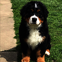 Midnightbmd