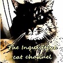 TheInquisitiveCatChannel