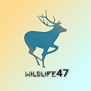 Wildlife47