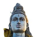 Arya12376
