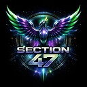 Section47