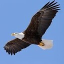 soarusa