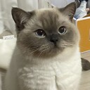 YUHAIYANG