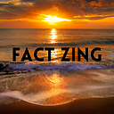 Fact_Zing23