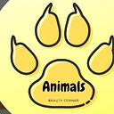 Animalsbeautycorner