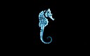 AquaSeaHorse