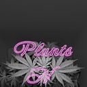 Plants420