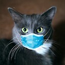 CatsbeingCats