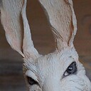 TheCrazyWhiteRabbit
