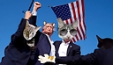 5stepkitties