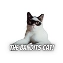 thebanditscat