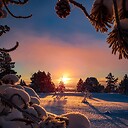 Lovethenature07