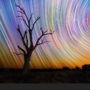 Psilocybin4SouL