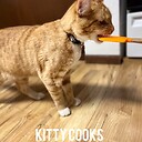 KittyCooks