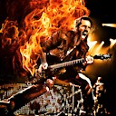 Bumblefoot