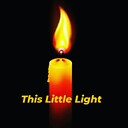 ThisLittleLightLLC