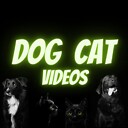 DogCatvideos