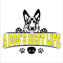 ADogsBestLife