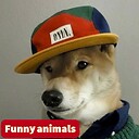 Funnyanimalsclub2