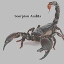 ScorpionAudits