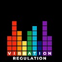 VibrationRegulation