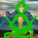 HolygreenMonkey