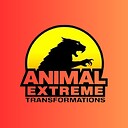 ANIMALEXTREMETRANSFORMATIONS