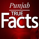 punjab_true_facts_