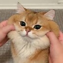 erenaemma2