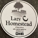 LazyC
