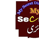 secretdiary191