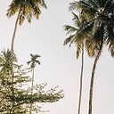 SrilankanThings