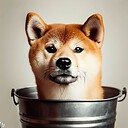 BucketDoge