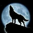 lonewolfdaddy