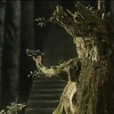 Treebeard48