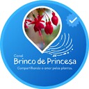 canalbrincodeprincesa