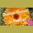 AnotherMomentinCreation