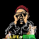 4LifeofAnimal