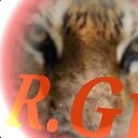 Rajveer77