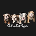 DaBestBullsPuppies