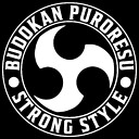 BudokanPuroresu