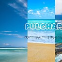 PULCHAR